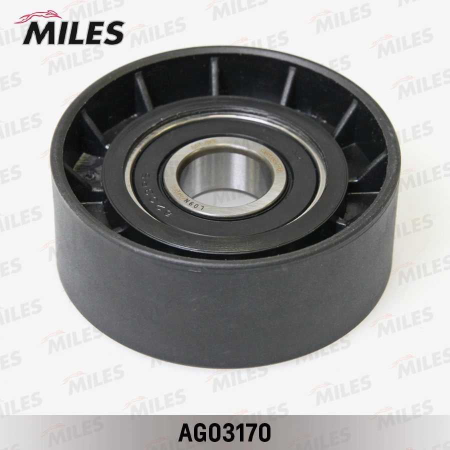 AG03170