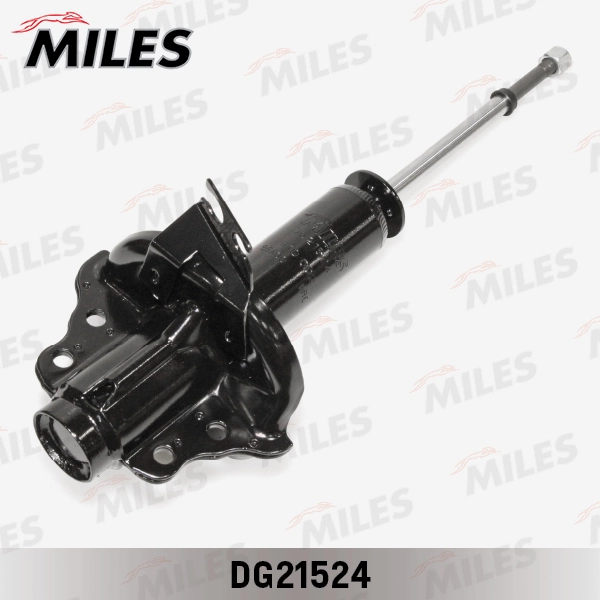 DG21524