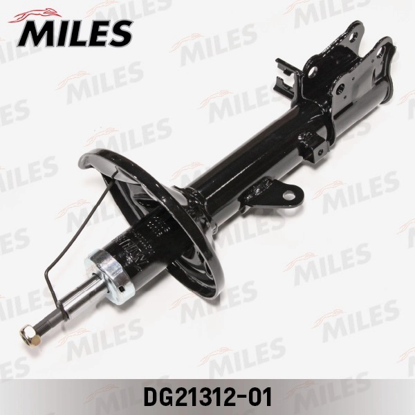 DG21312-01