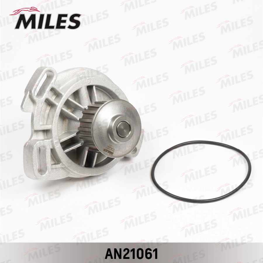 AN21061