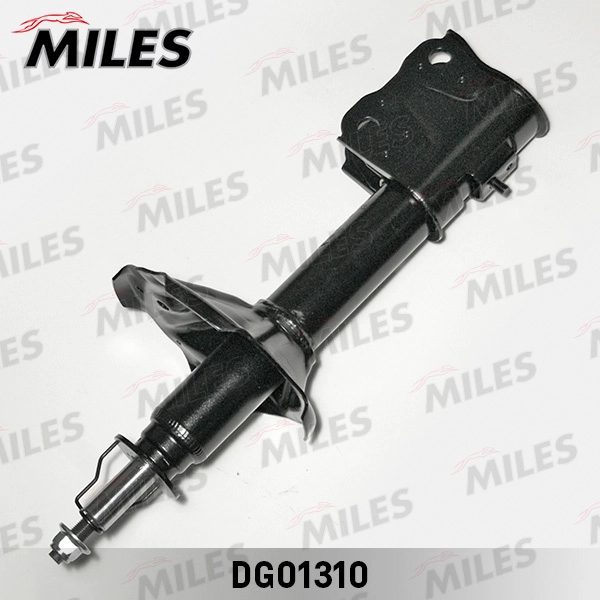 DG01310