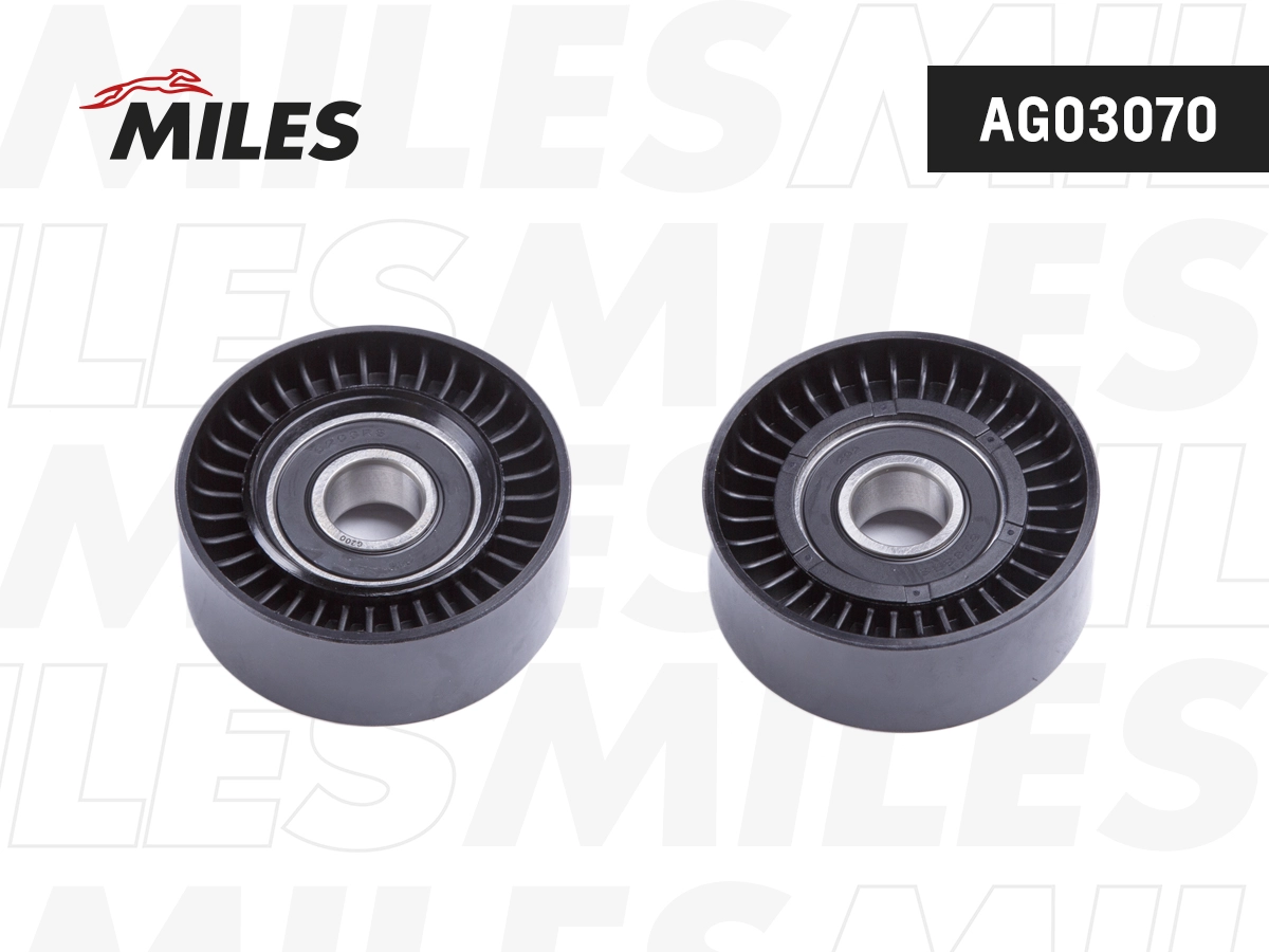 AG03070