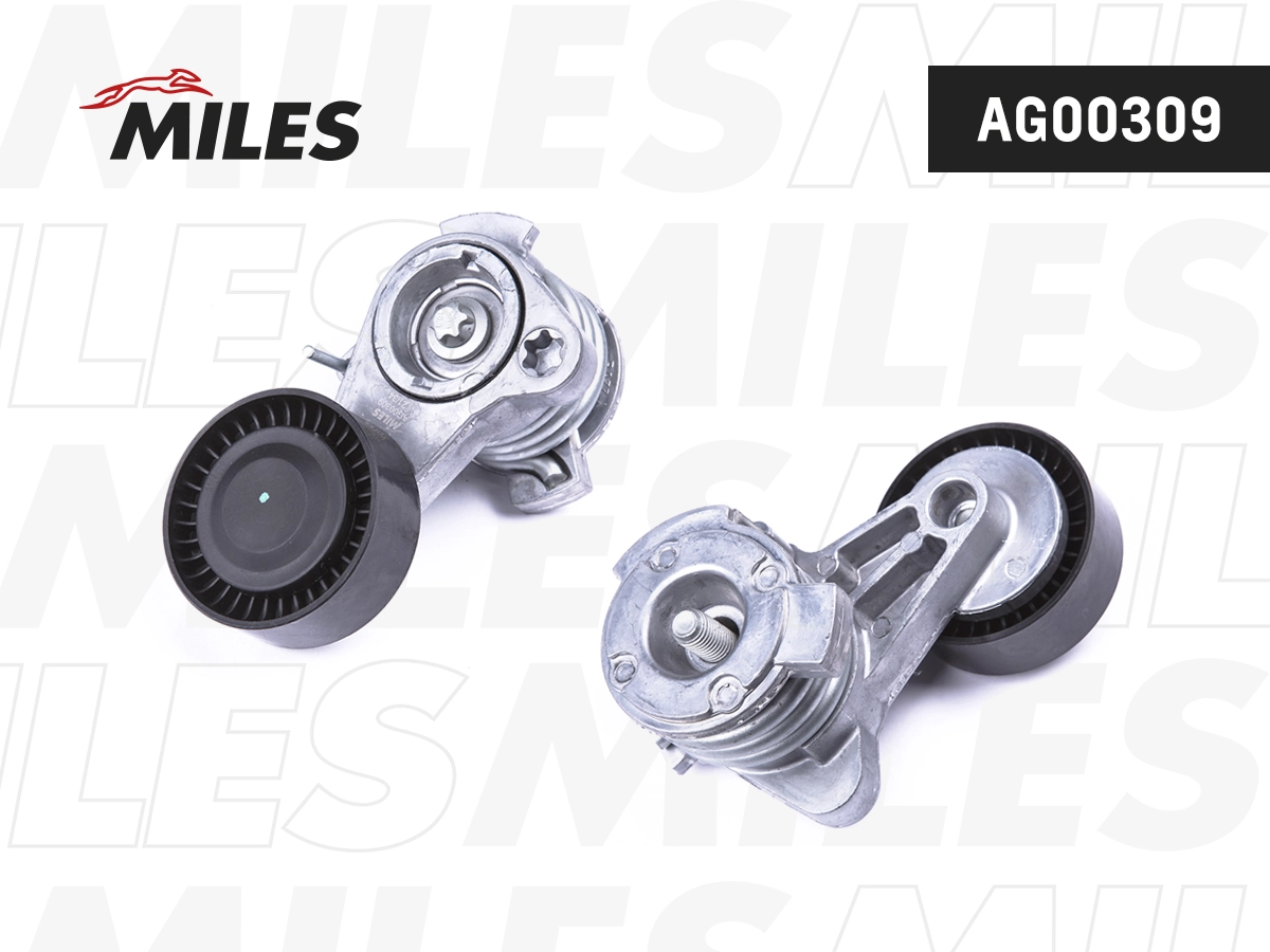 AG00309