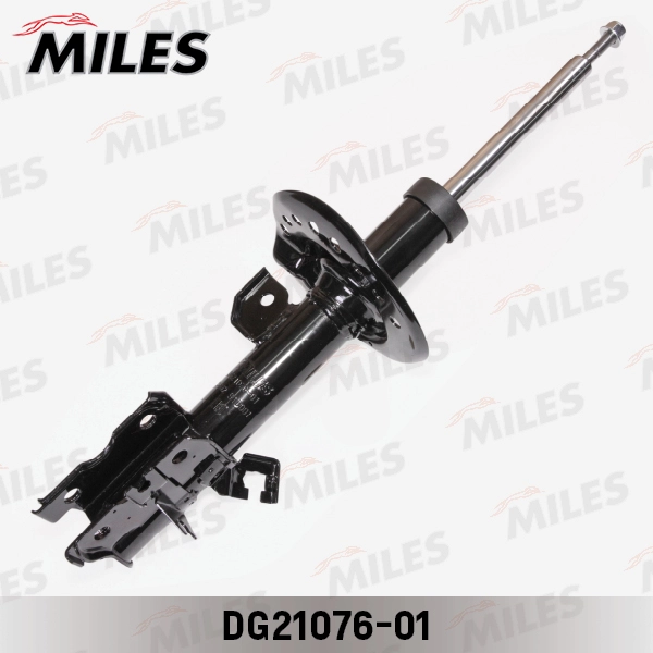 DG21076-01