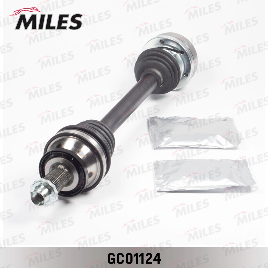 GC01124