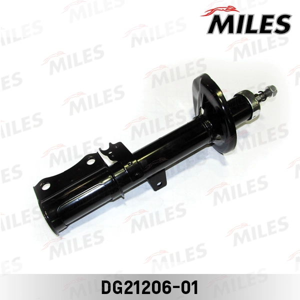 DG21206-01