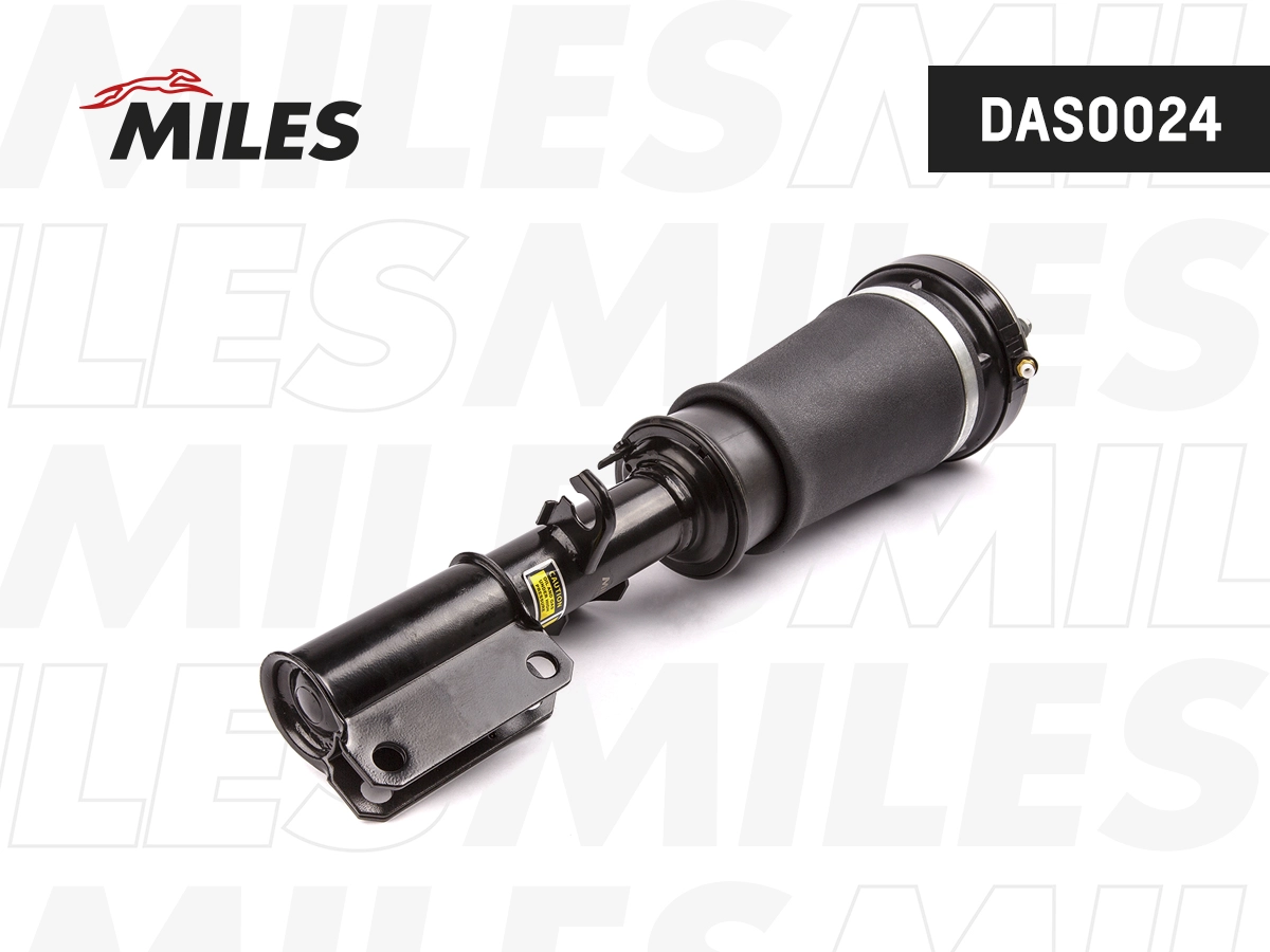 DAS0024