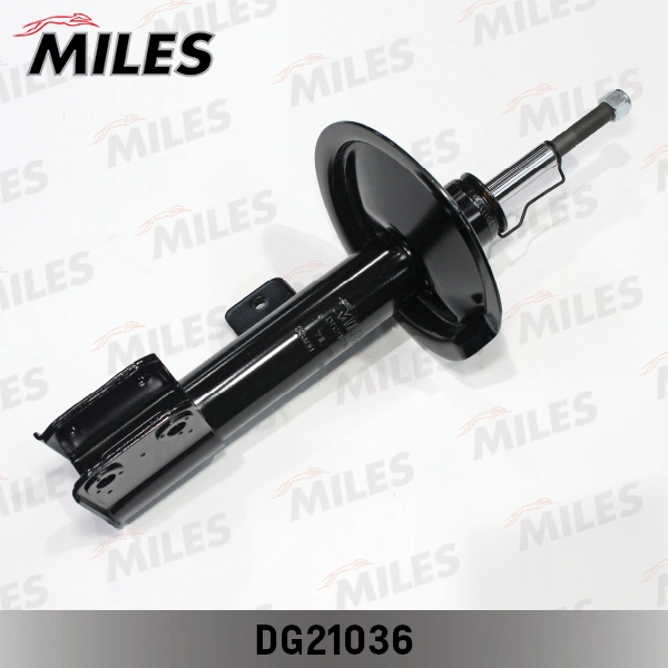 DG21036