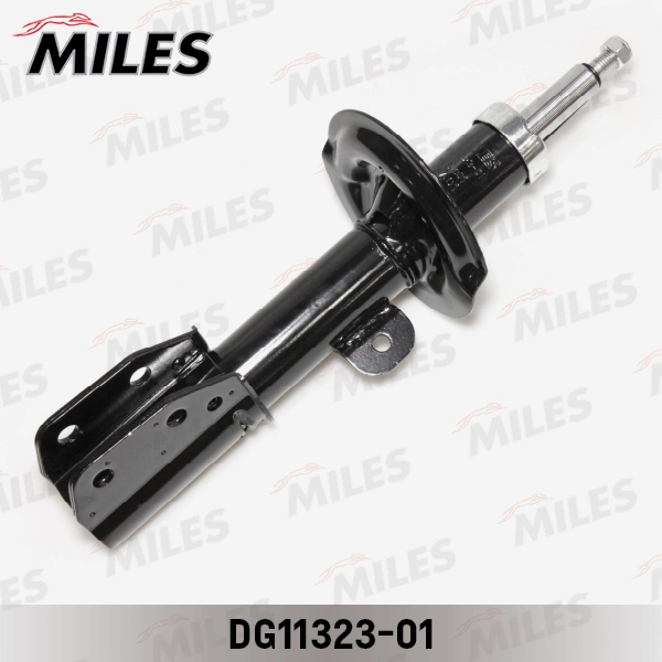 DG11323-01