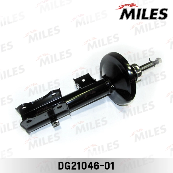 DG21046-01