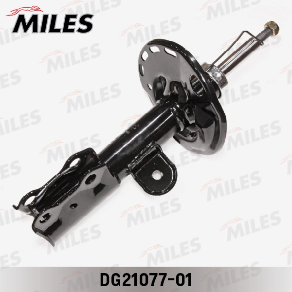 DG21077-01