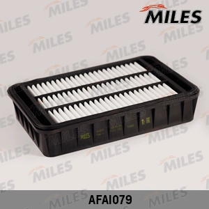 AFAI079