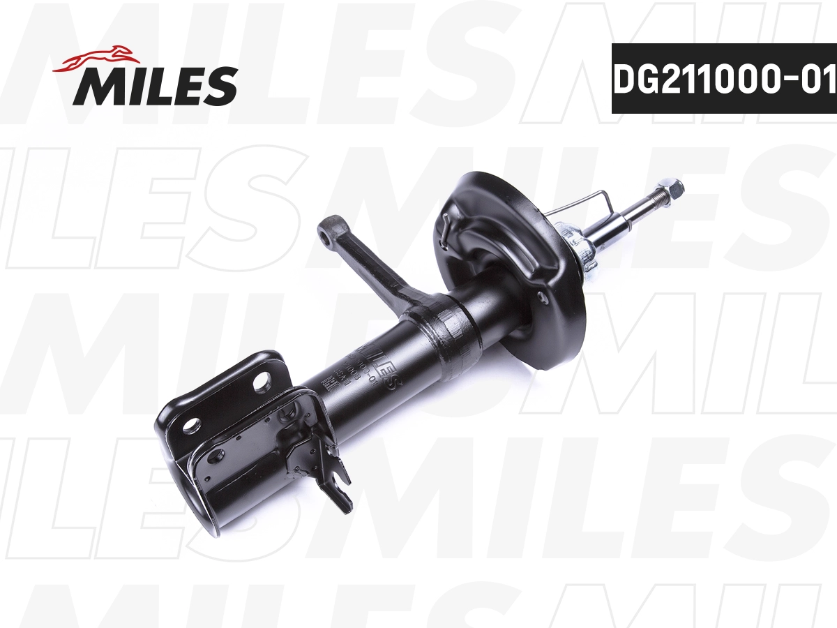 DG211000-01