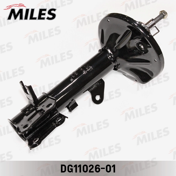 DG11026-01