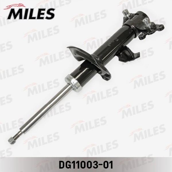 DG11003-01