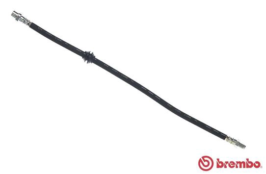 T 06 010