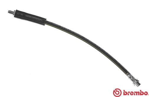 T06023