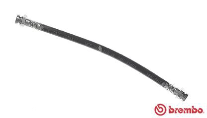 T 49 036