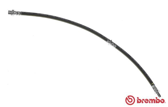T 06 037