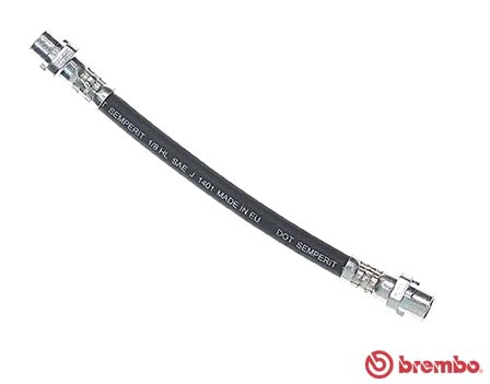 T 06 031