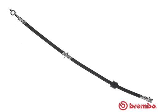 T56137