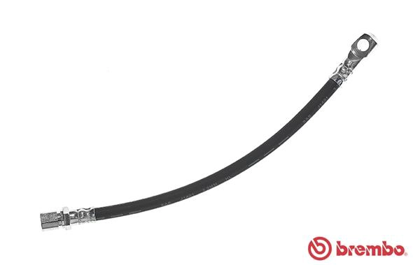 T 23 144