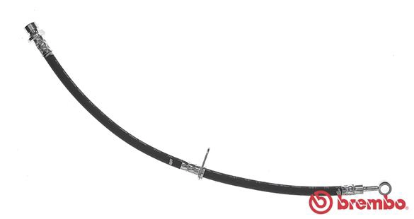 T 28 096