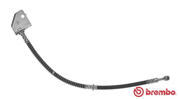 T 24 121