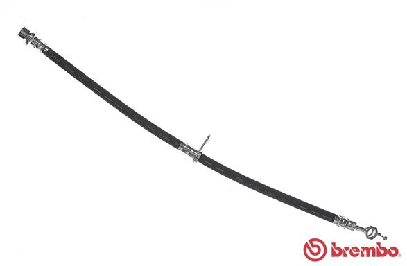 T 16 011