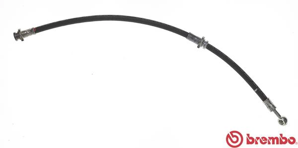 T 56 078