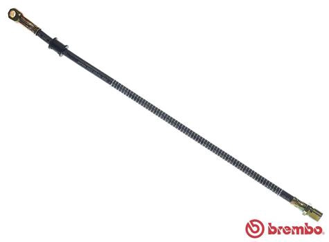 T41