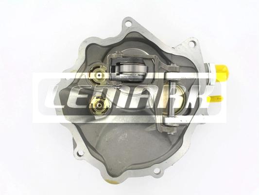LVP008