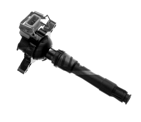 CP018