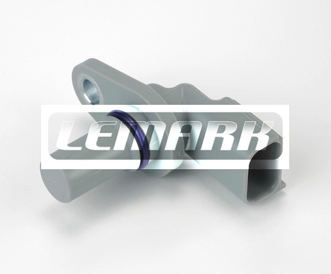 LCS312