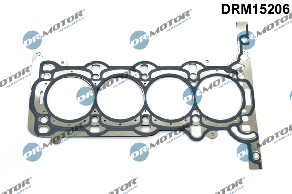 DRM15206