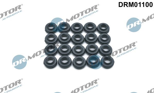 DRM01100