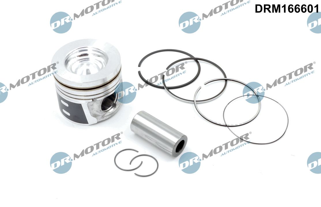 DRM166601