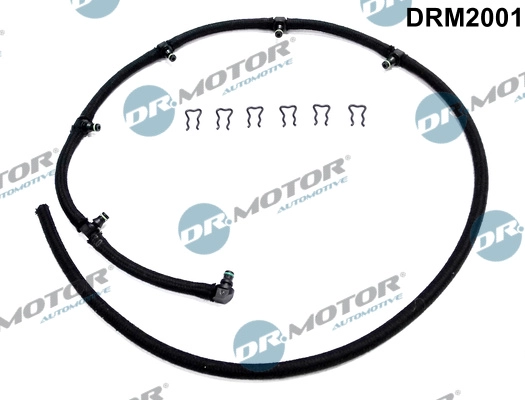DRM2001