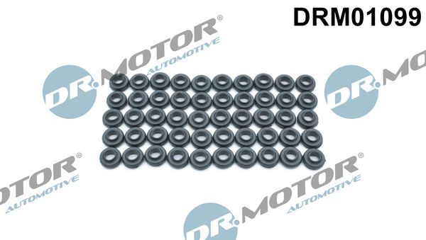 DRM01099