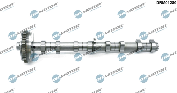 DRM01280
