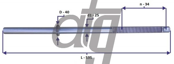 52900401