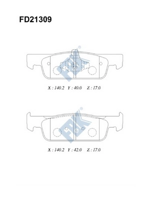 FD21309