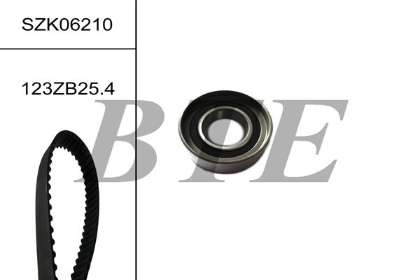 SZK06210