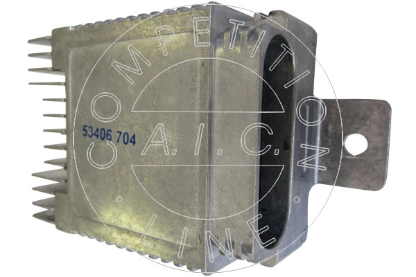 53406