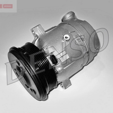 DCP20010