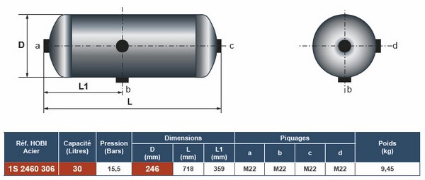 1S2460306