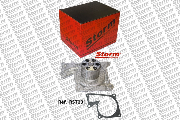 RST231