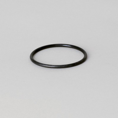 P160125