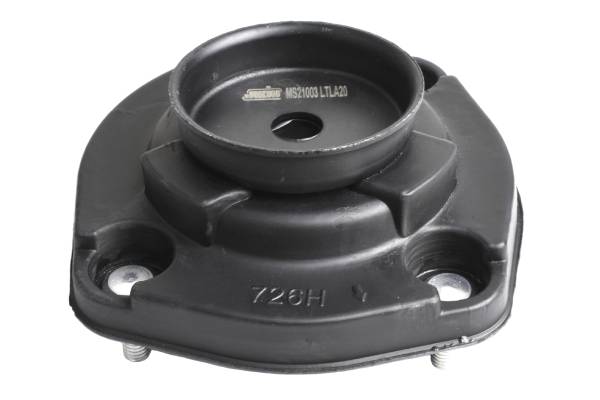MS21003