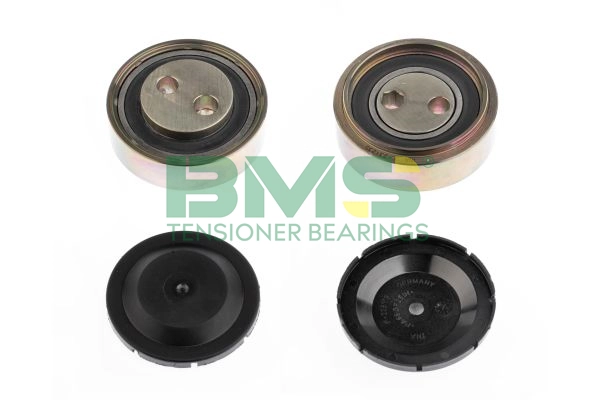 BMS 321